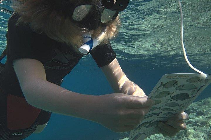 メノルカ島での地元ガイド付きプライベートシュノーケリング - フォルネルスでの水中アクティビティ