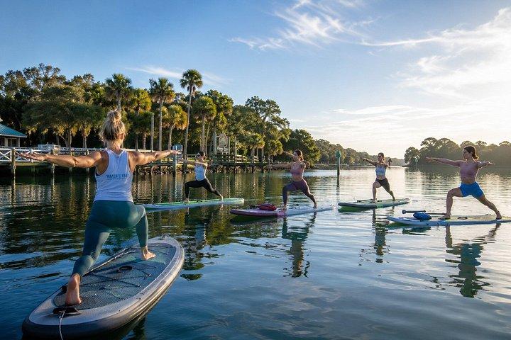 Yoga em Stand-Up Paddle em Crystal River no Kings Bay