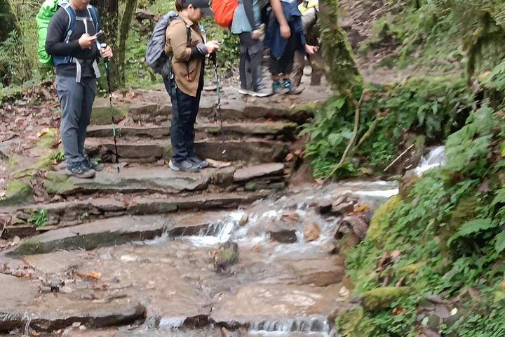 Kathmandu : Esperienza di trekking, rafting e safari nella giungla in Nepal