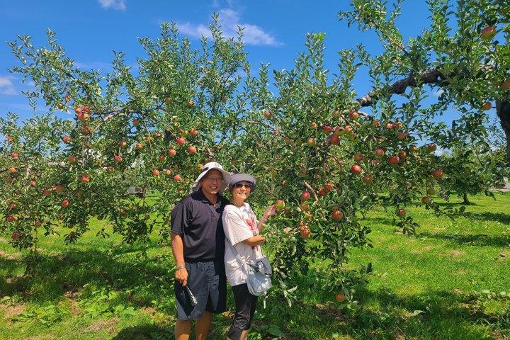 Aomori Customized Private Tour in 1 Day with Licensed Guide