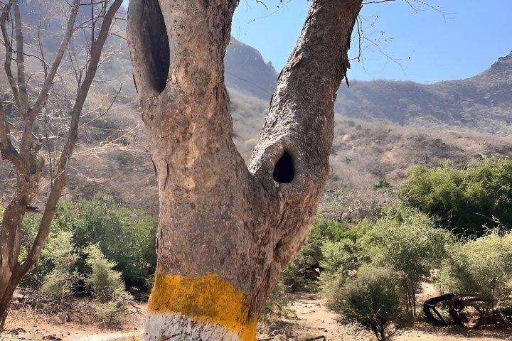 Ain Ghaidh Spring Path Wandelen ( عين غيض )