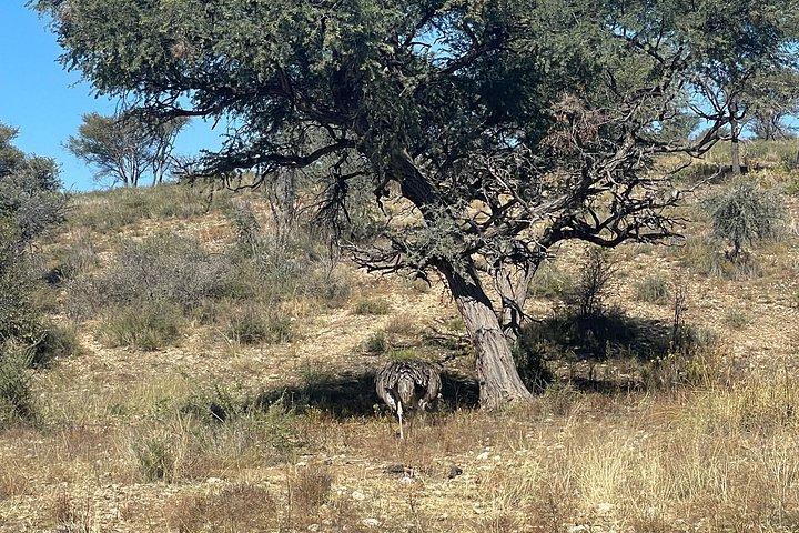Hiking Trail - Daan Viljoen Windhoek