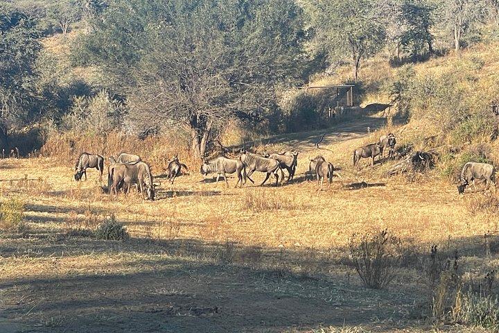 Hiking Trail - Daan Viljoen Windhoek