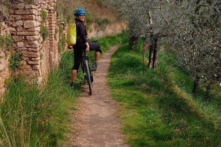 アッシジ - スペッロとベヴァーニャへの電動自転車ツアー