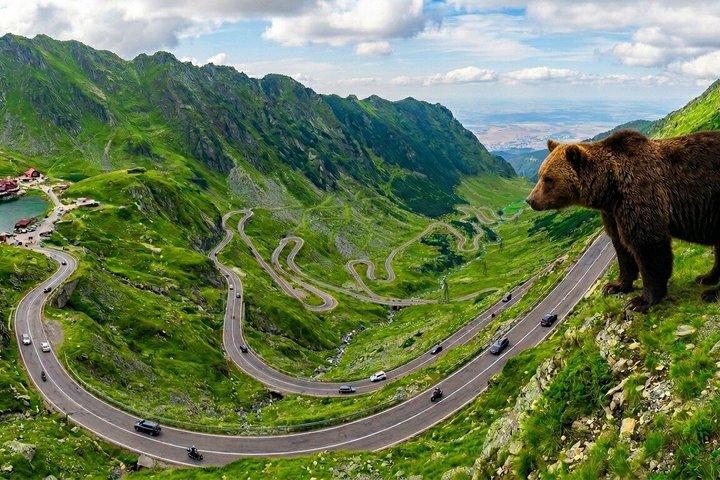 Top Gear Road - Transfăgărăşan, Liten grupp max 7, Pick-up inkluderar