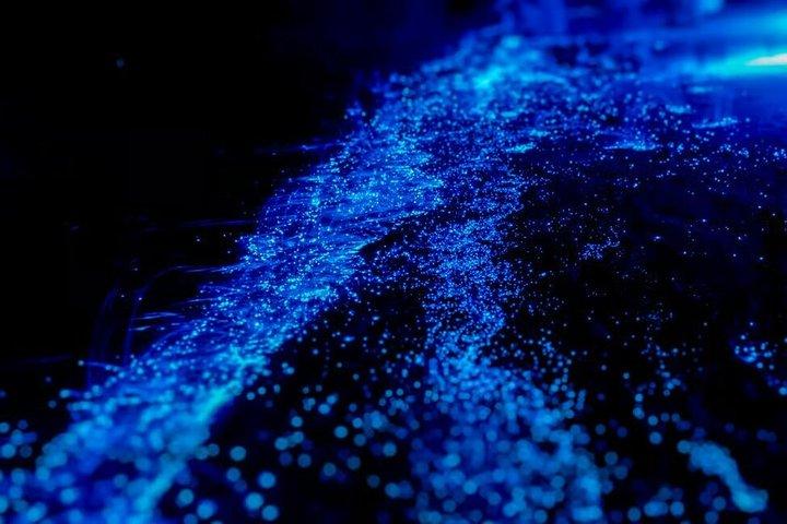 オーランド近郊の生物発光カヤックツアー