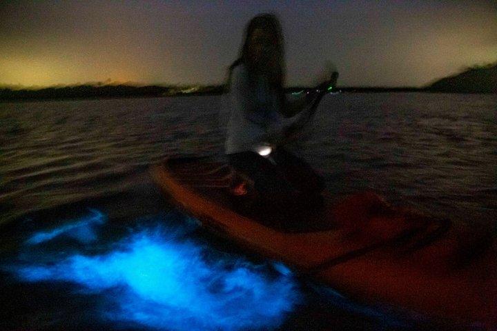 Circuit en kayak bioluminescence près d'Orlando