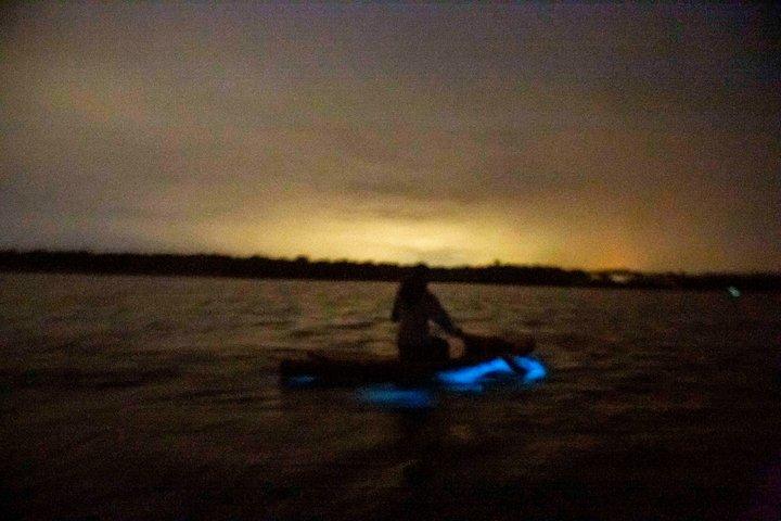 Circuit en kayak bioluminescence près d'Orlando