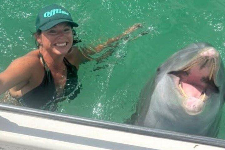 3 timmars privat Shell Island Delfin och Snorkling Tour
