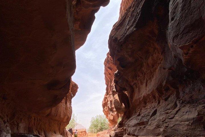 Tour in jeep di 2 ore al mattino o al tramonto nel deserto del Wadi Rum