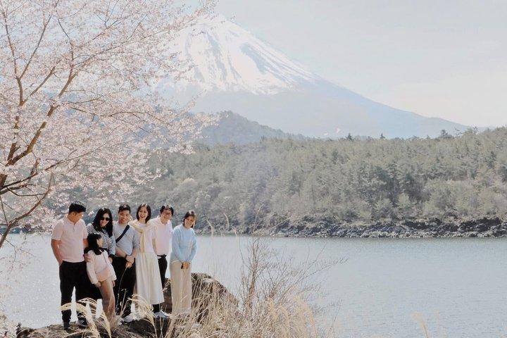 英語ドライバー付き東京発富士山プライベート日帰りツアー