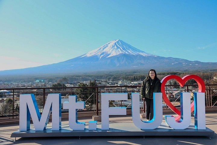 雄大な富士山： プライベート日帰りツアー