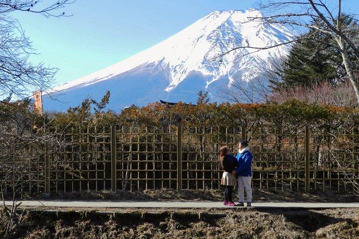 雄大な富士山： プライベート日帰りツアー