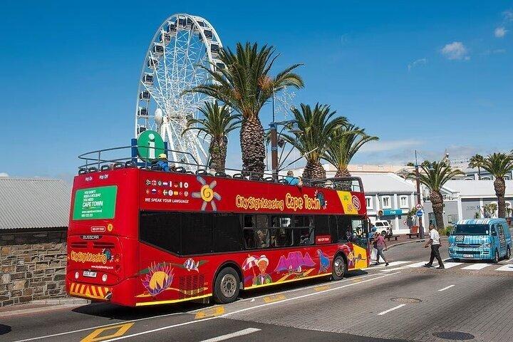 Tour panoramico della città e Table Mountain in autobus rosso