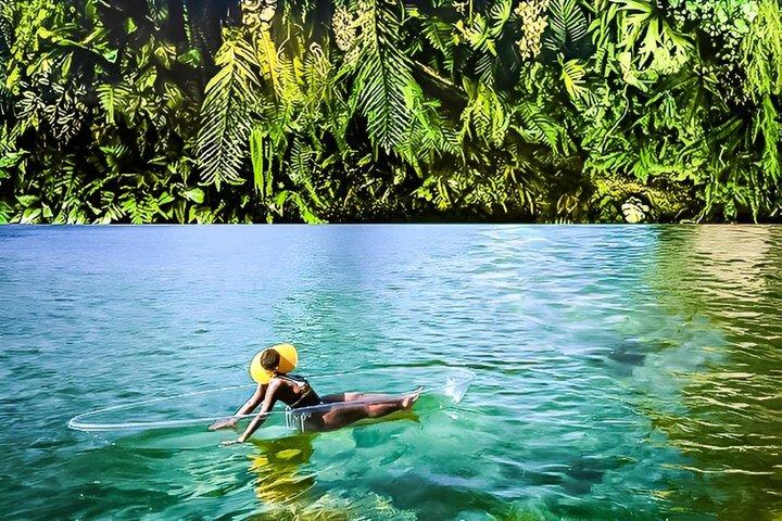 Nuovo Tropical Clear Kayak Drone Servizio fotografico a Montego Bay