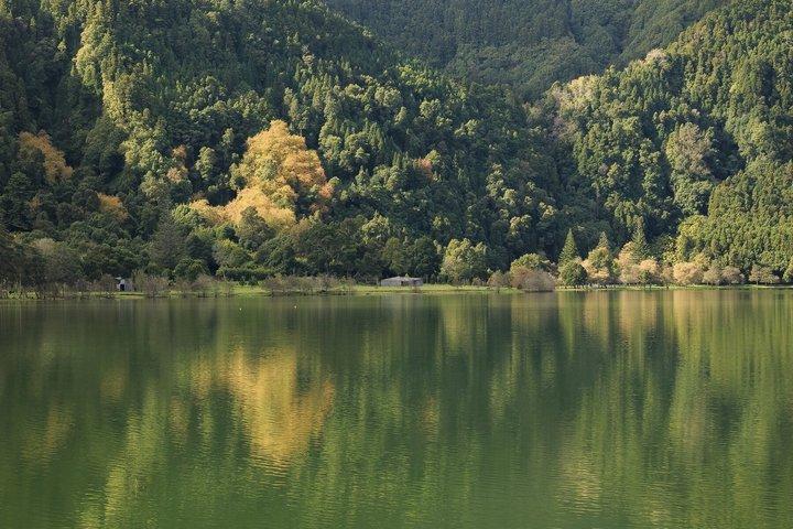 Ponta Delgada : Tagesausflug durch das Furnas-Tal und die Teefabrik
