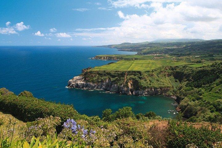 Ponta Delgada : Tagesausflug durch das Furnas-Tal und die Teefabrik