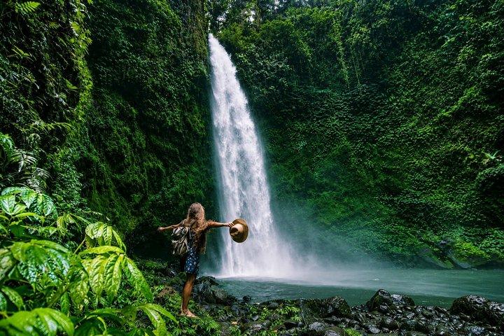 Tour Ubud : Lo mejor de Bali Puntos destacados con Guía y Todo Incluido