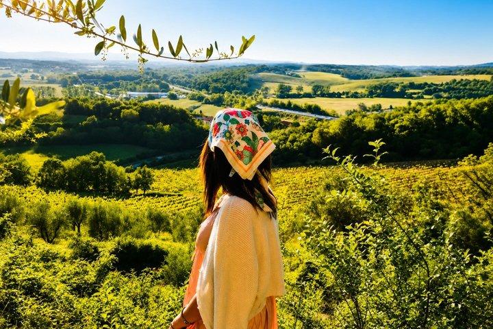 Florencia : Chianti Wine Tour & San Gimignano con 2 Bodegas