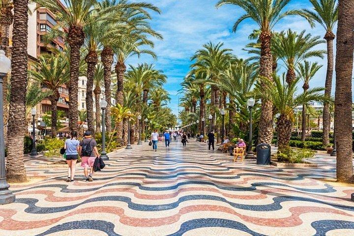 Alicante : Beer Spa with Tapas and Tasting