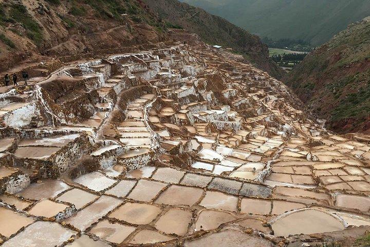 ビジターセンター・テスティルのツアーでウツボや塩鉱山へ。