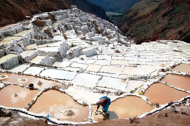 ビジターセンター・テスティルのツアーでウツボや塩鉱山へ。