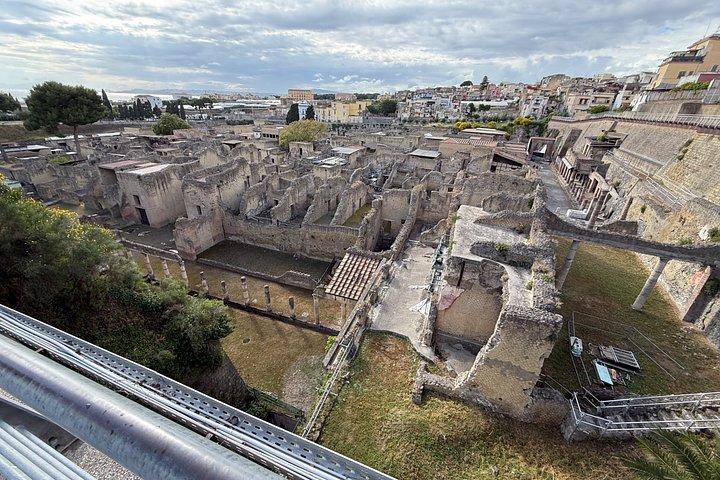 Herculaneum 2 Hour Private Tour with Official Guide