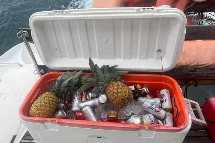 Tour di un giorno in catamarano a Bocas del Toro con snorkeling a vela e pranzo