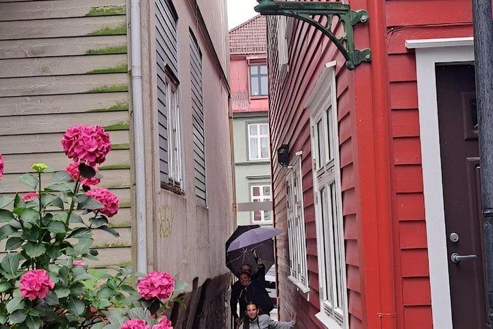 ベルゲン市内を、地元の公式ガイドと一緒に歩くウォーキングツアー。隠れた場所。