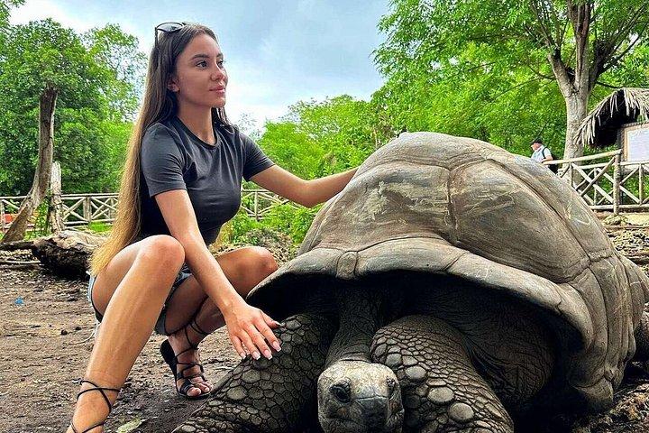 ストーンタウン監獄島とスパイスファーム（ランチ付き）ザンジバルツアー