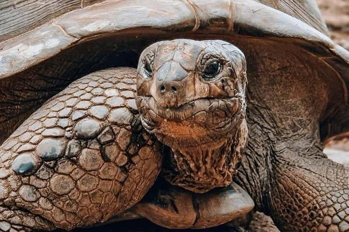 ストーンタウン監獄島とスパイスファーム（ランチ付き）ザンジバルツアー
