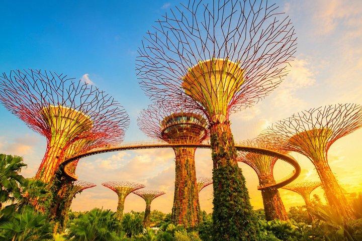 Singapore: Gardens by the Bay Admission E-Ticket