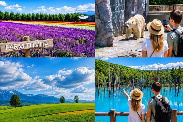 2026 Biei Blue Pond "Aoi-Ike", Asahiyama Zoo og gård Tomita