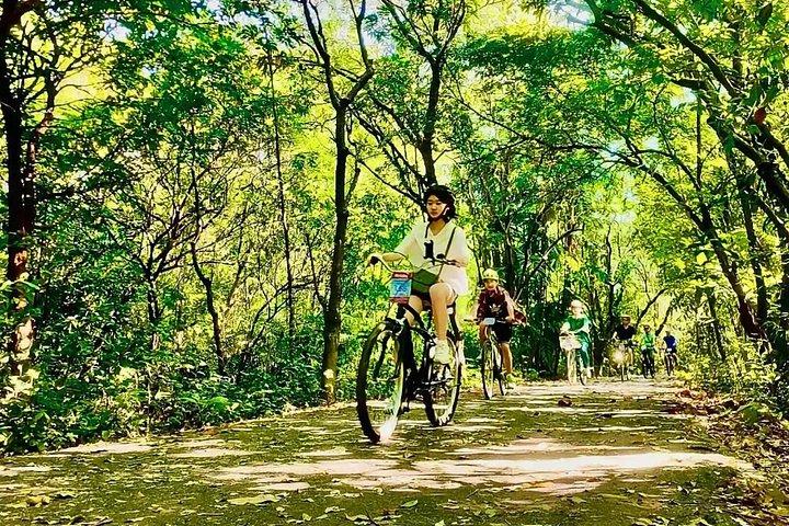 バンコク脱出：バンクラチャオのジャングルバイクツアー