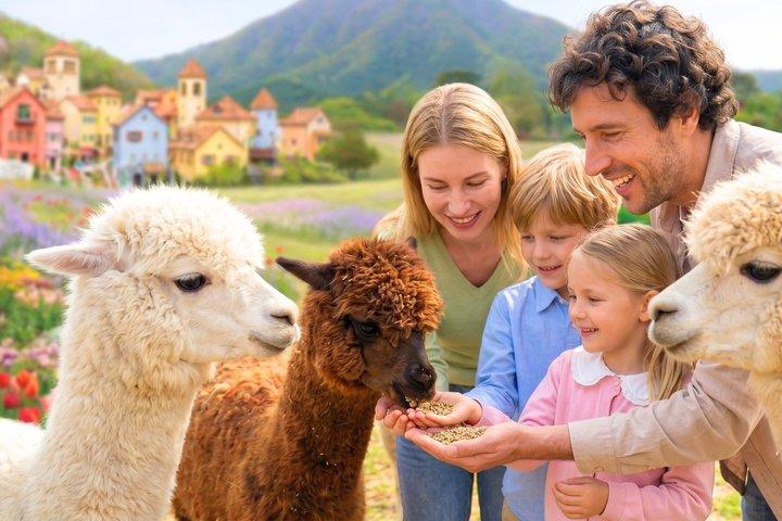 Nami Island, Alpaca, Petite France, K-Garden tur fra Seoul