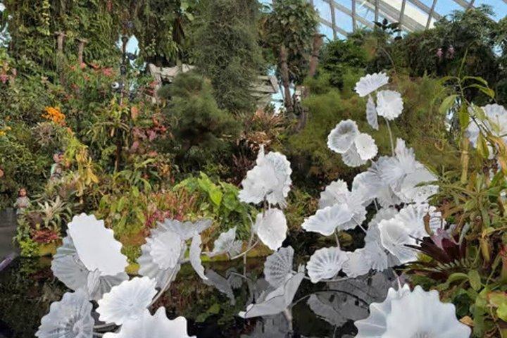 Gardens by the Bay Ticket