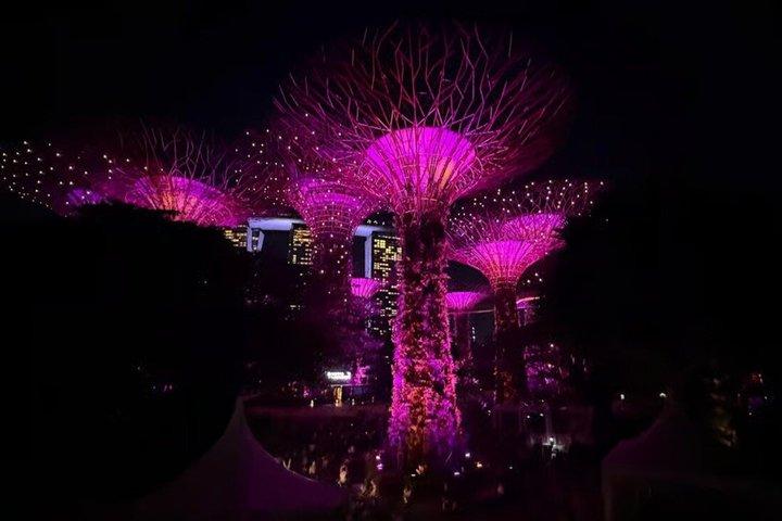 Biglietto Garden by the Bay