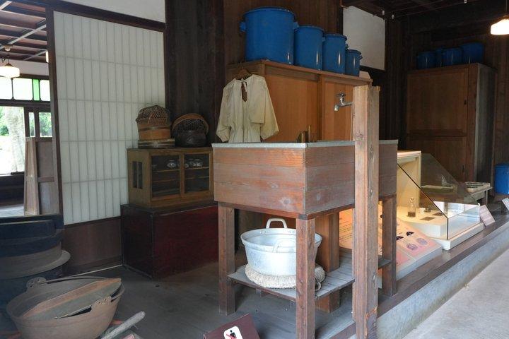 Excursão Privada Edo Tokyo Open Air Architectural Museum