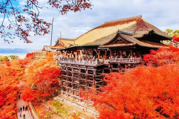 De Osaka: Kyoto e Nara Day Trip