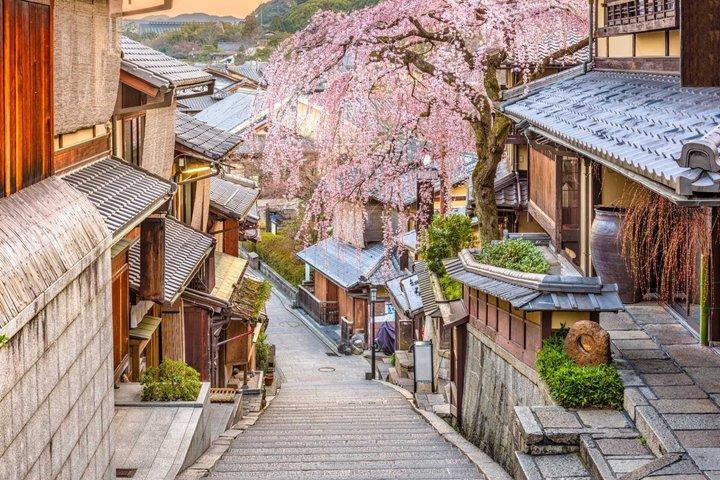 De Osaka: Kyoto e Nara Day Trip