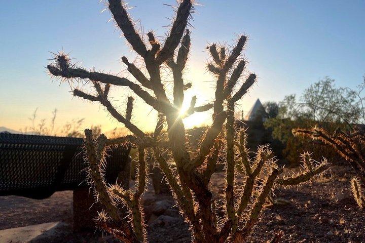 Paseo de bienestar y meditación en el desierto de Sonora : Jardín Botánico