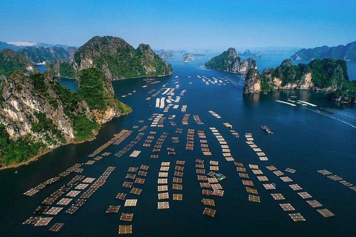 ハノイからサイゴンへの文化と遺産の旅10日間