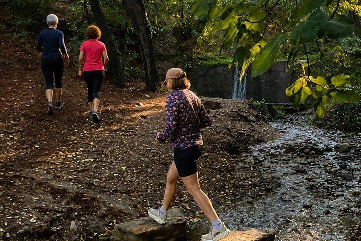 Lauftour in Granada und Umgebung der Alhambra