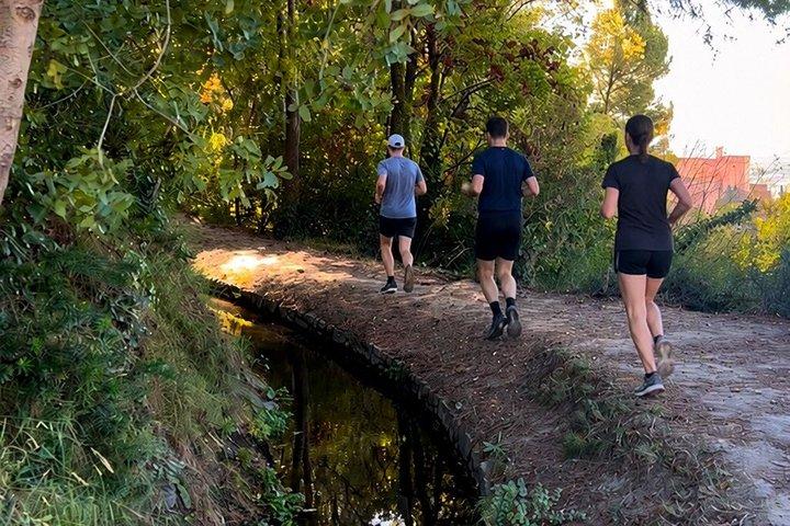 Lauftour in Granada und Umgebung der Alhambra