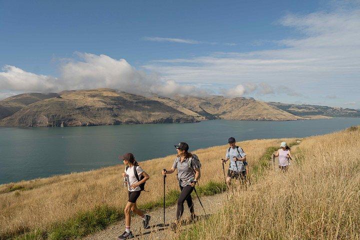 Ganztägige Küstenwanderung mit Picknick