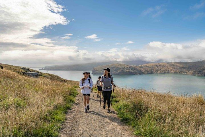 Halvdags Godley Head kystvandring fra Christchurch