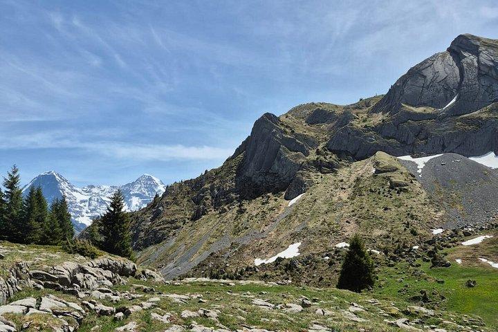 Esperienza escursionistica guidata a Mürren Grindelwald e Interlaken