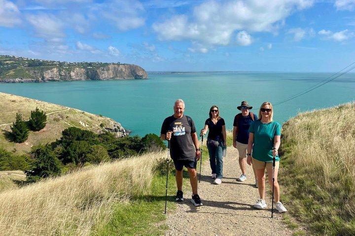 Escursione a terra a Lyttelton: escursione costiera a Godley Head con picnic