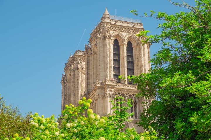 Île de la Cité Guided Tour & Exterior Notre Dame