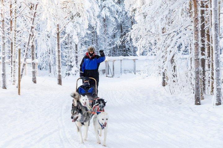 Visita a la granja Husky con Husky Safari - Saariselkä